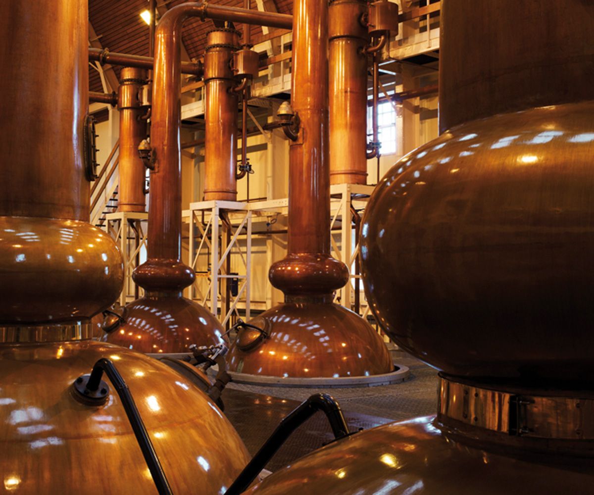 Food contact compatible brazing alloys for joining copper and stainless steel.