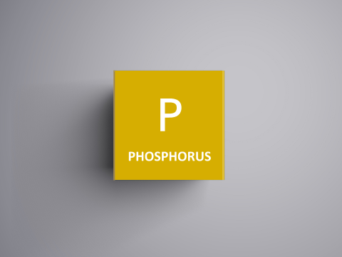 Phosphorus (P)